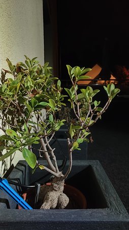 IMG20220806005114.jpg