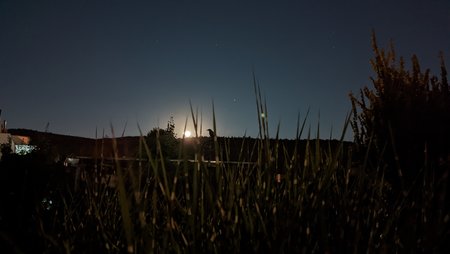 PXL_20220812_204021773.jpg