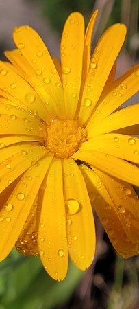 20220730_120931.jpg