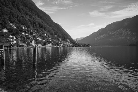 IMG_20220815_075309_BW.jpg
