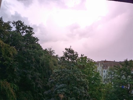 IMG_20220815_203344.jpg