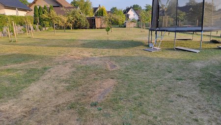 IMG_20220816_192112.jpg
