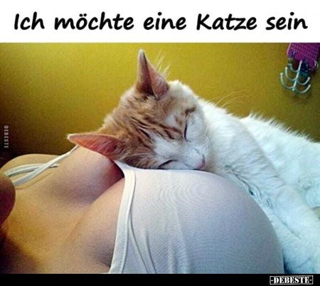 Ich.jpg