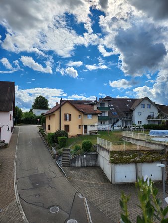 1-  Flip 4 Gegenlicht.jpg