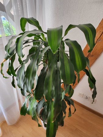 7 - Flip 4 Indoor.jpg
