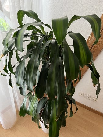 8 - iPhone 13 Pro Indoor.jpg