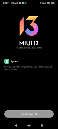 Screenshot_2022-08-22-06-29-15-095_com.android.updater.jpg
