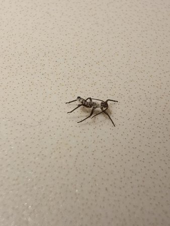 IMG_20220402_094258.jpg