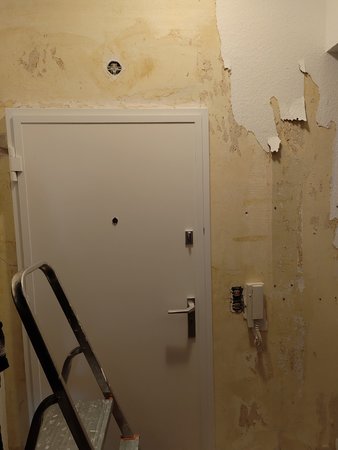 IMG_20220826_114007.jpg