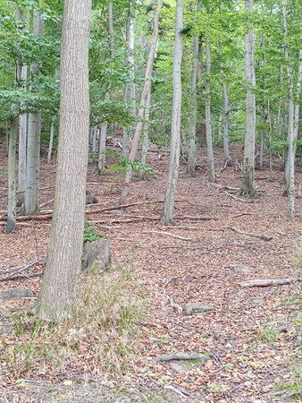 P_20220828_094209.jpg