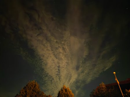 IMG_20220902_224807.jpg