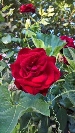 WP_20220904_17_25_43_Rich.jpg