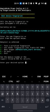 Bild Terminal.jpg