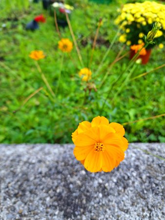20220905_071633.jpg