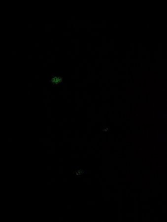 PXL_20220905_165154829.jpg