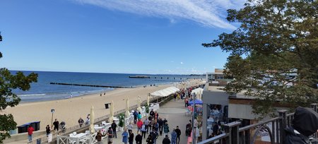 IMG_20220906_115932265.jpg