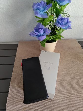 P_20220807_095632.jpg