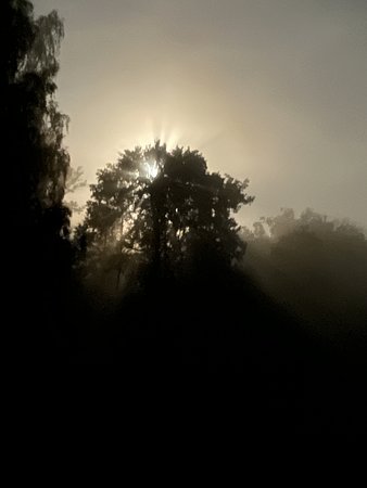 FA237017-1C77-4EC9-93BE-1339E0B4295B.jpeg