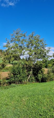 20220908_095309.jpg