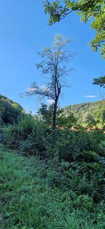 20220908_095655.jpg