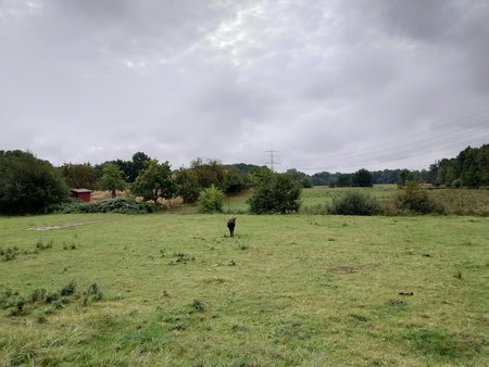20220910_105109.JPG