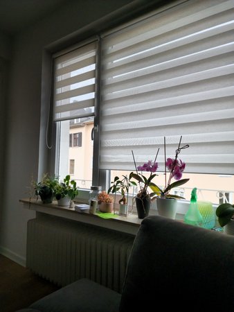 20220913_191902.jpg
