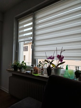 20220913_191855.jpg