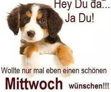 1663134793061.png