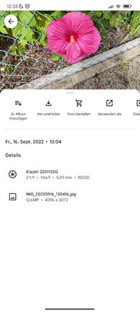 Screenshot_2022-09-17-12-24-18-176_com.google.android.apps.photos.jpg