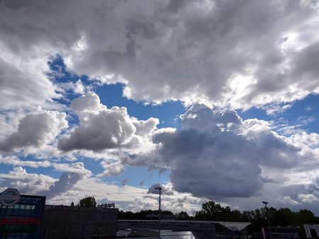 20220919_124525.JPG