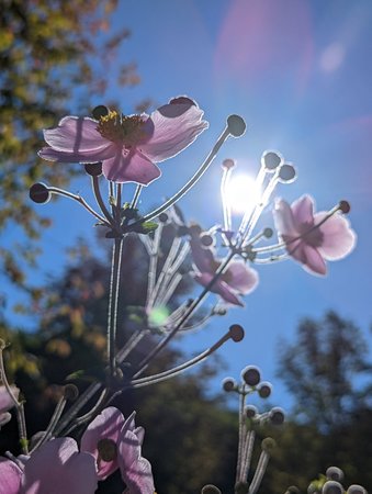 PXL_20220919_130336262.jpg