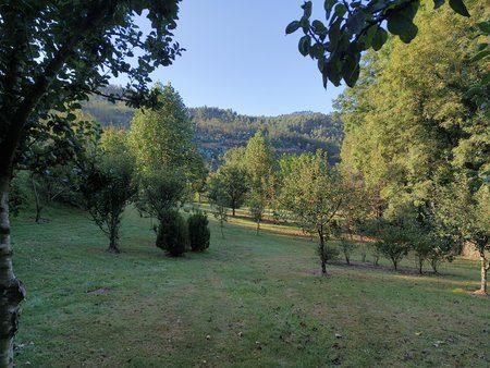 IMG_20220920_095947.jpg