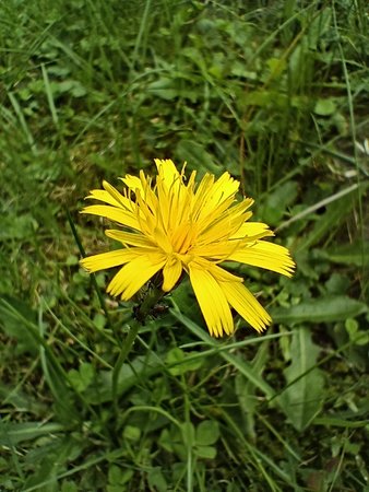 IMG20220922143551.jpg
