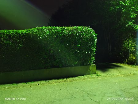 IMG_20220923_054352.jpg