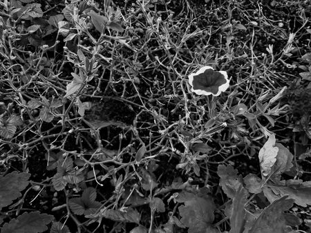20220905_170551 (1).jpg