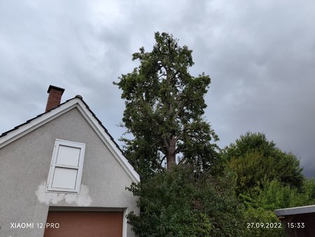 IMG_20220927_153311.jpg