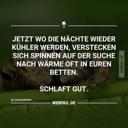 post2.jpg