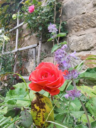 IMG_20220927_172414.jpg