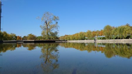 20220930_120153 (1).JPG