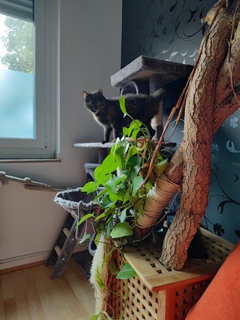 IMG_20221002_164134509_HDR.jpg