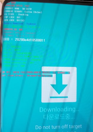 signal-2022-10-03-174434_002.jpeg