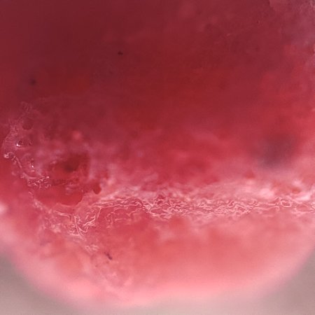 IMG20220928133955.jpg