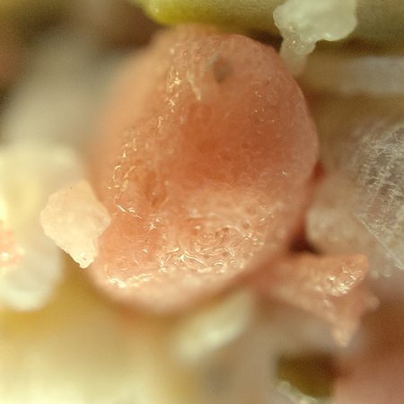 IMG20220928133823.jpg