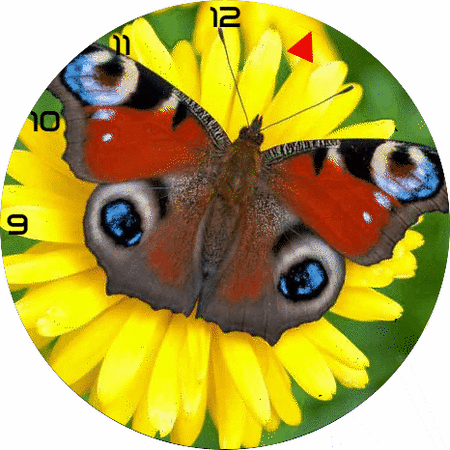 RingTest_animation.gif