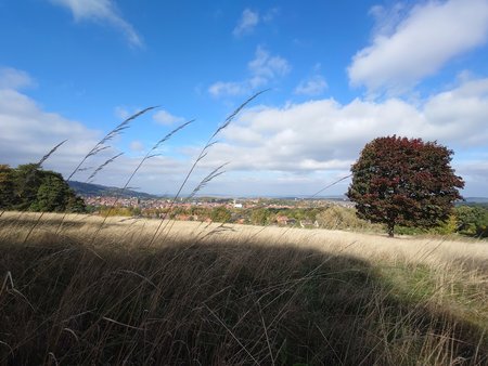 20221005_122859.JPG