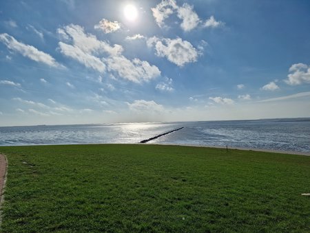 20221004_144611.jpg