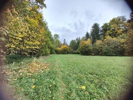 IMG_20221009_150846731_HDR.jpg