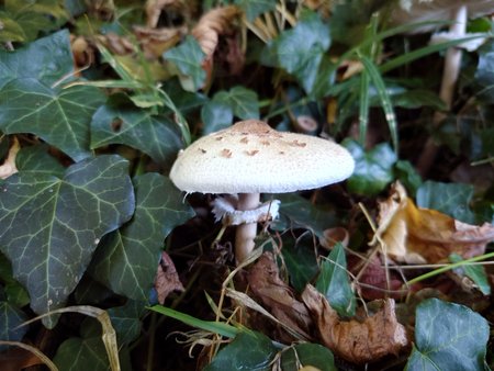 20221009_164604.JPG