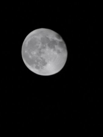 IMG_20221011_221615.jpg