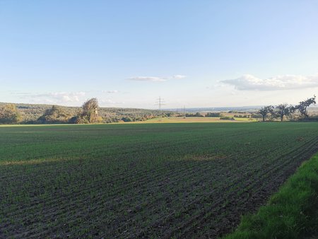 IMG_20221008_173125.jpg